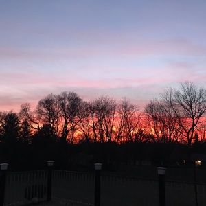 Meet your Posher, Tabitha